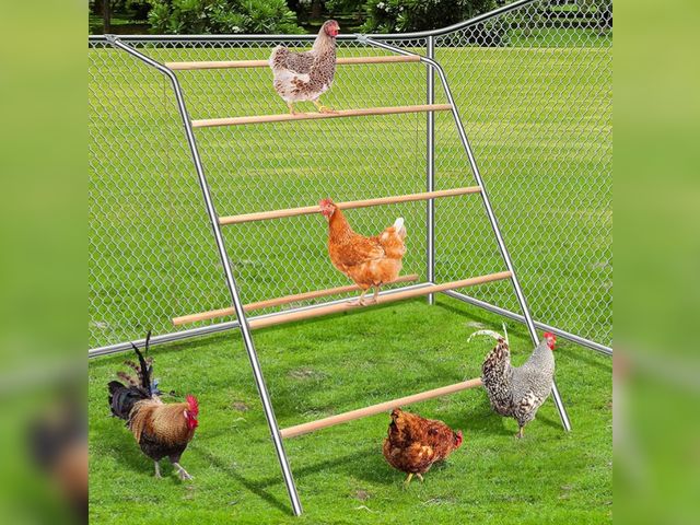 Lot 96-163676 - Chicken Perch for coop,Chicken roosting Bars for Chickens, Backyard Poultry,Easy to Install and Clea...