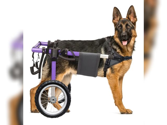 Lot 96-175131 - Dog Wheelchair for Back Legs - Lightweight Aluminum Alloy Dog Wheelchair, Upgraded All-Terrain Tires...
