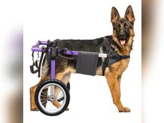 Lot 96-175131 - undefined