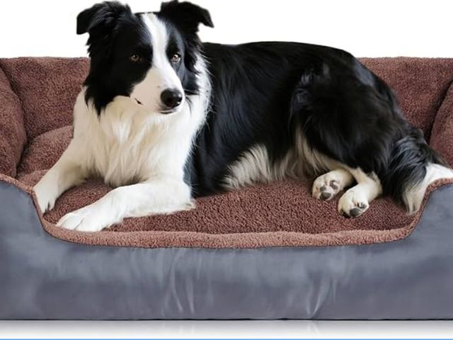 Lot 96-171104 - Dog Bed for Medium Size Dogs, Pet Couch Bed with Durable Fabric and Anti-Slip Bottom
appears unused