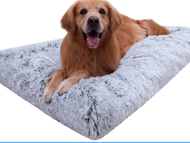 Lot 96-187538 - Vonabem XXL Dog Bed Washable, Waterproof Large Pet Beds with Removable Cover, 48 inch Dog Crate Pad ...