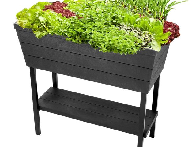Lot 96-181042 - Keter Urban Bloomer 32" x 15" x 31" Durable Resin Raised Garden Bed with Self-Watering and Drainage ...