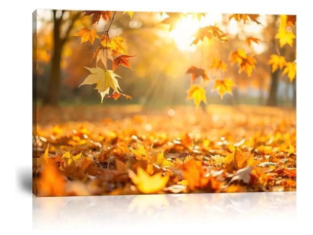 Lot 96-163700 - HJL Art Fall Wall Art Canvas Forest Autumn Wall Art Prints Sunshine Falling Leaves Canvas Poster Pic...