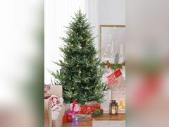 Lot 96-192326 - undefined