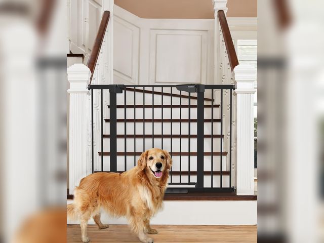 Lot 96-181243 - Cumbor 2 pack 29.7 to 46 inch Baby g
Gate, Mom's Choice Award, Black
New