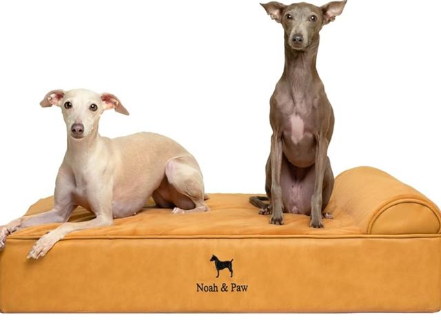Lot 96-170437 - NOAH &amp; PAW Large Dog Bed, 35x25x11 Inch, Orthopedic Dog Beds, Eggshell Memory Foam Infused with ...