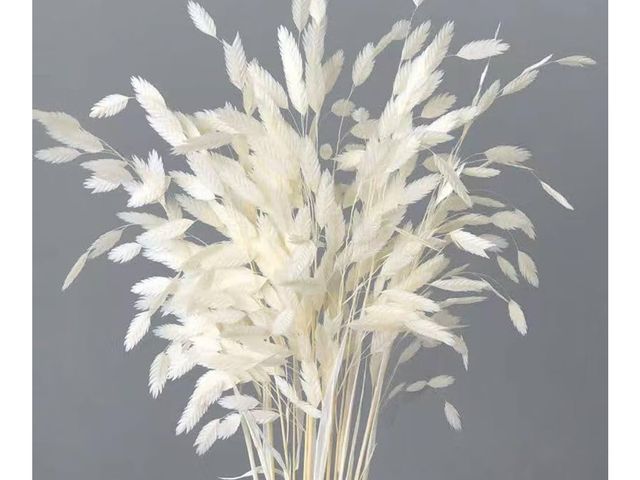 Lot 96-175814 - Dried Grass Bundle, 20 Stems 15-17 Inch Natural Chasmanthium Flower Bouquet for Vase, DIY Floral Arr...