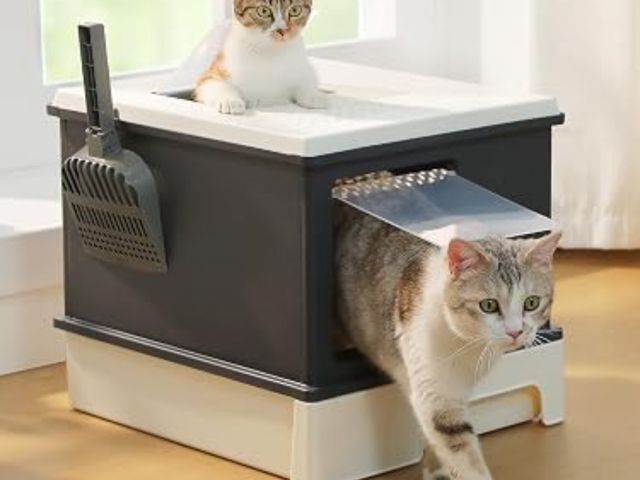 Lot 96-233213 - Pawzroad Large Cat Litter Box with Lid Double-Layer Leak-Proof Litter Box with Cover New
