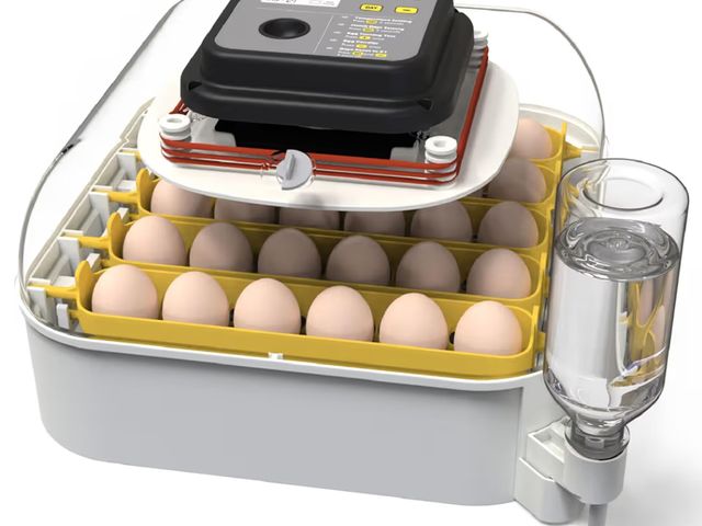Lot 96-209223 - MATICOOPX 30 Egg Incubator with Humidity Display, Egg Candler, Automatic Egg Turner, for Hatching Ch...