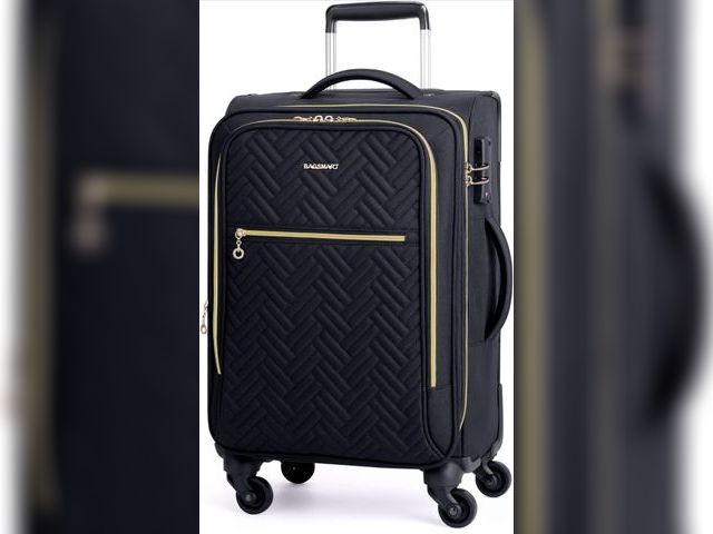 Lot 96-181385 - BAGSMART Carry On Luggage 20 Inch,Softside Expandable Suitcase with Spinner Wheels, Luggage 22x14x9 ...