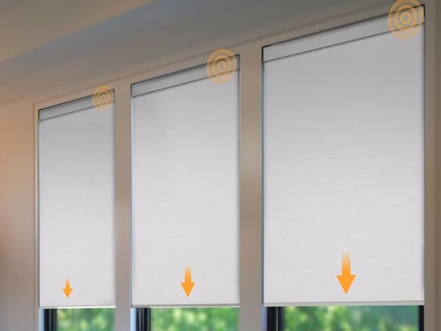 Lot 96-170869 - Cordless Roller Shades (White, approx 36” wide )
New