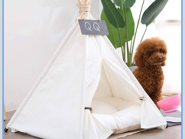 Lot 96-174391 - Pet Teepee Dog &amp; Puppy Cat Tents Tipi Bed Portable Houses with Thick Cushion for Pets Up to 15lb...