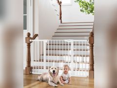 Lot 96-211244 - undefined