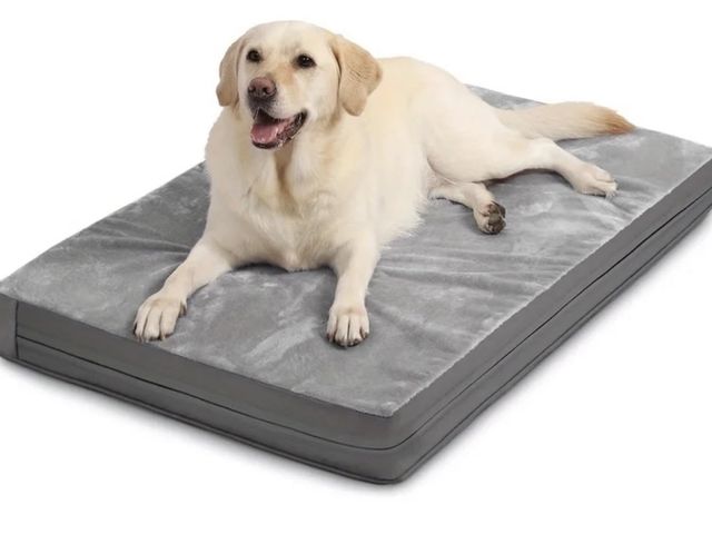 Lot 96-230687 - Orthopedic Dog Bed Waterproof Large Dog Crate Bed Deluxe Plush Washable Pet Mat with Egg Crate Foam ...