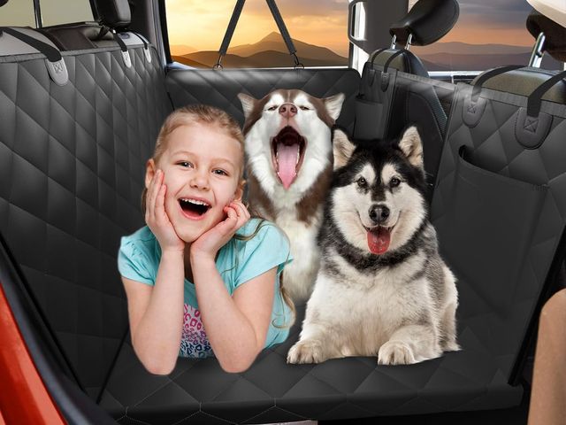 Lot 96-164414 - JOYTUTUS Back Seat Extender for Dogs with Hard Bottom
Item may slightly vary from stock photo
New