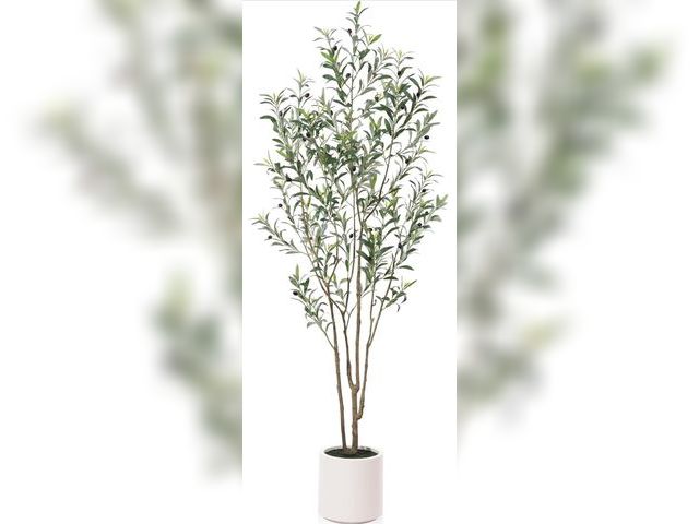 Lot 96-180539 - LOMANTO Artificial Olive Trees, 7 ft Tall Fake Olive Trees for Indoor, Faux Olive Silk Tree, Large O...