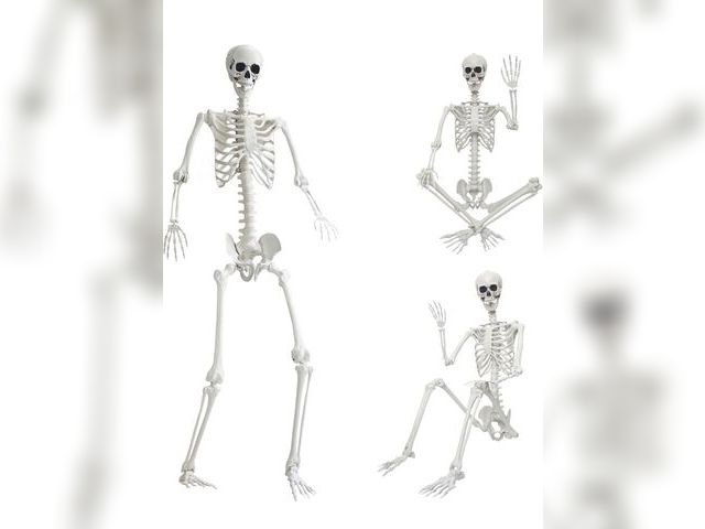 Lot 96-221773 - 7.9ft/240cm Giant Skeleton Halloween Skeleton Life Size Skeleton Posable Skeleton Full Body Realisti...