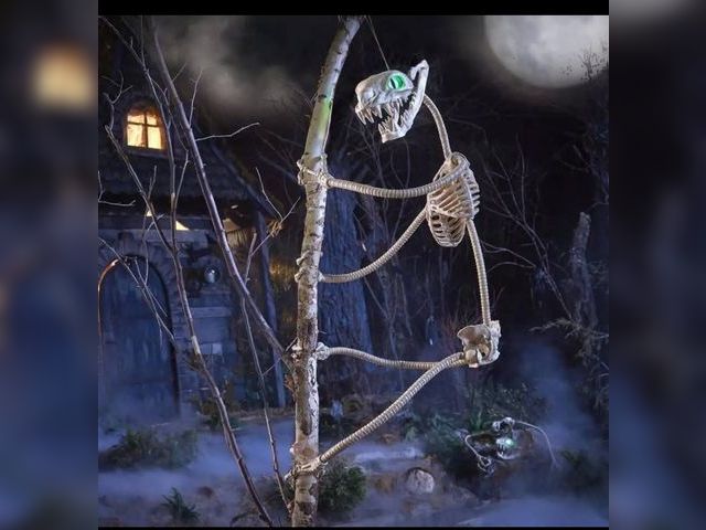 Lot 96-183385 - 5.5 Ft Grave &amp; Bones Lighted Skeleton Constrictor 3 Pack 
Unused open box 
MSRP $129.99