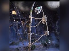 Lot 96-183385 - undefined