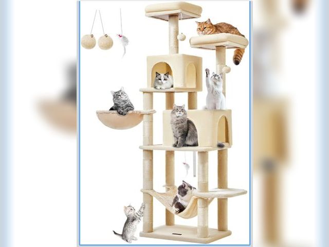 Lot 96-180699 - Taoqimiao Cat Tree, 66.2-Inch Cat Tower for Indoor Cats, Plush Multi-Level Cat Condo with 7 Scratchi...