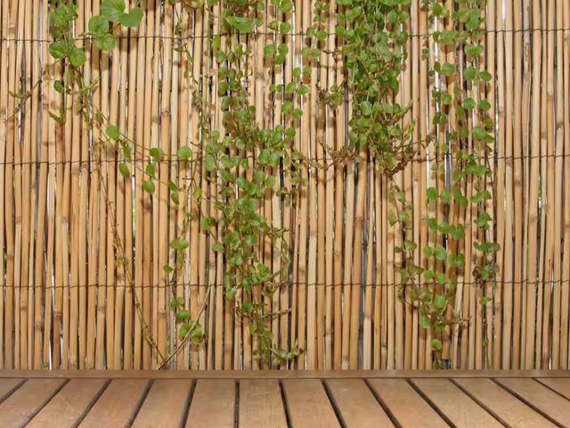 Lot 96-183121 - Backyard X-Scapes 6 ft. H x 16 ft. L Natural Jumbo Reed Bamboo Fencing New