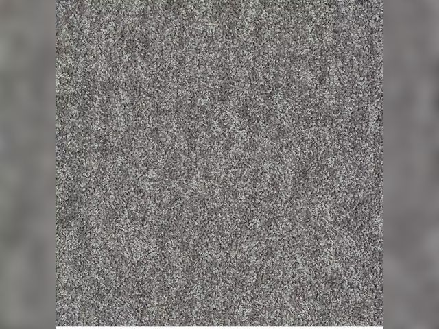 Lot 96-175345 - 26.67 Sq. Yards of TrafficMaster Willow - Grey - 12 ft. Wide x Cut to Length Polyester Texture Carpe...