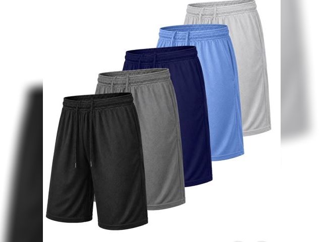 Lot 96-233117 - Men's 5-Pack Lightweight Breathable Moisture Wicking Mesh Shorts colors differ from stock photo  New...