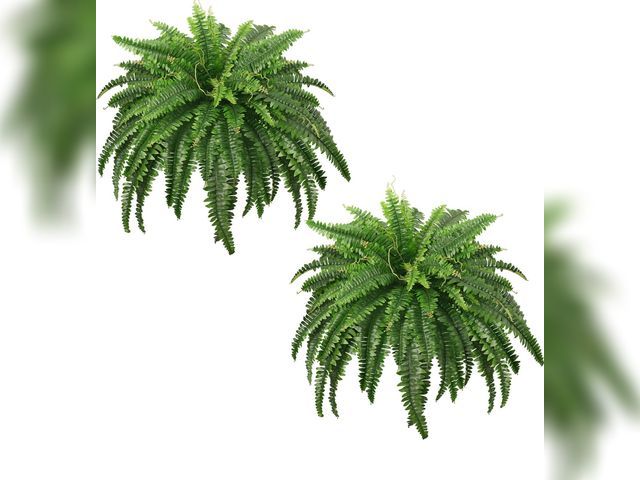 Lot 96-173740 - 45" Fake Ferns, Realistic Large Artificial Bush Plants, 2 Artificial Boston Ferns with 59 Fronds for...