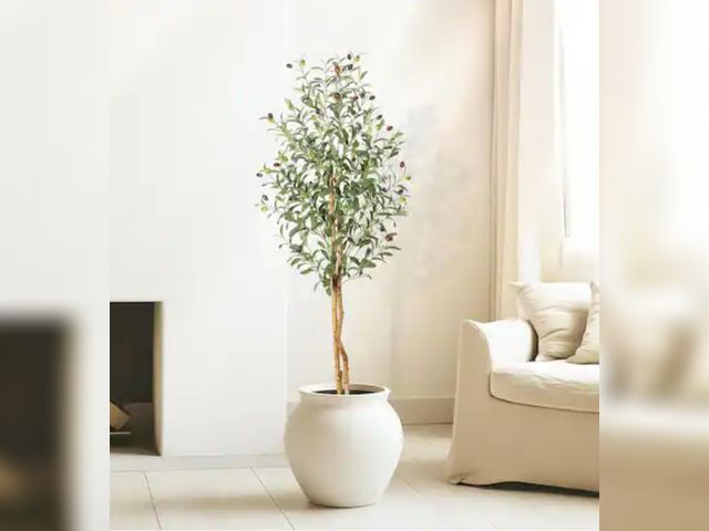 Lot 96-166576 - Garvee 5 ft. 2-Piece Artificial Olive Trees, Faux Silk Plant White Planter, Fake Olive Trees with Po...
