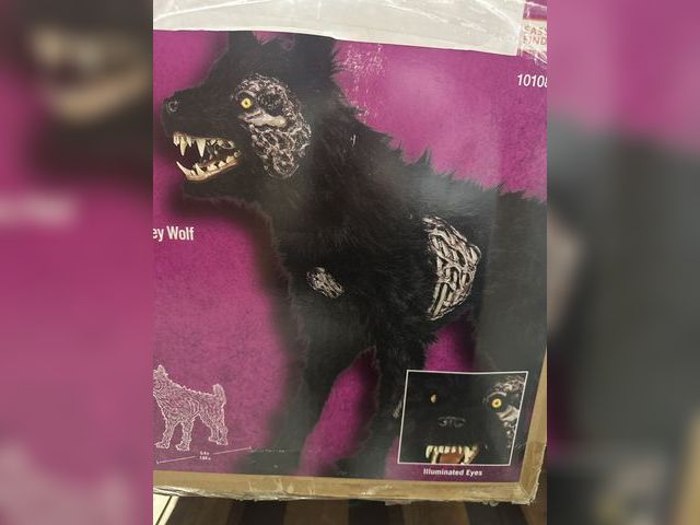 Lot 96-183358 - Home Accents 5.5 Ft. Long Gruesome Grounds Animated LED Fear Valley Wolf 
Used untested 
MSRP $199.0...