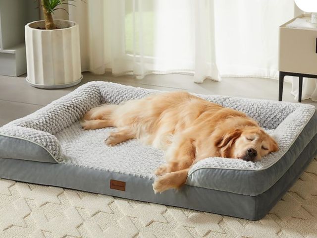 Lot 96-180968 - LNSSFFER Orthopedic Dog Beds for Large Dogs,Sofa Dog Bed for Extra Large Dogs. Egg Foam Extra Large ...
