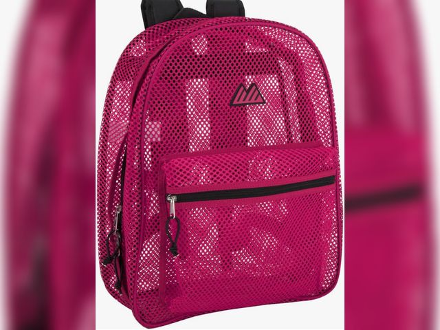 Lot 96-230602 - Summit Ridge Mesh Backpacks for Kids, Adults, School, Beach, and Travel, Colorful Transparent Mesh B...