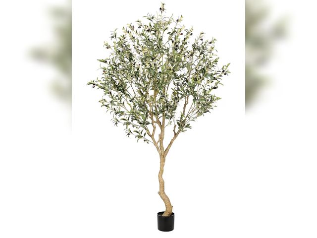 Lot 96-211194 - Realead 7FT Olive Trees Artificial Indoor - Tall Faux Olive Tree 7 Feet with Realistic Leaves and Na...