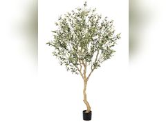 Lot 96-211194 - undefined