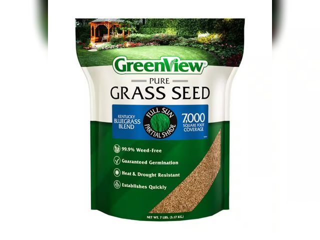 Lot 96-189224 - 7 lbs. Pure Grass Seed Kentucky Bluegrass Blend - Covers up to7,000 sq. ft. New