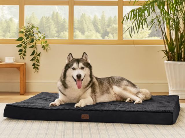 Lot 96-181437 - Bedsure Giant Dog Bed for Jumbo Dogs - 54" x 44" Flat Pet Beds with Removable Washable Cover, Orthop...