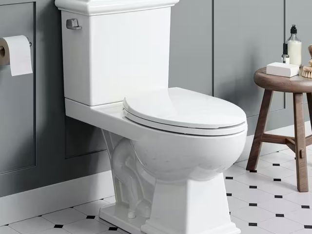 Lot 96-166602 - HOROW
17.52 in. ADA Chair Height 2-piece 1.27 GPF Single Flush Elongated Toilet Map Flush 1000g, Sof...