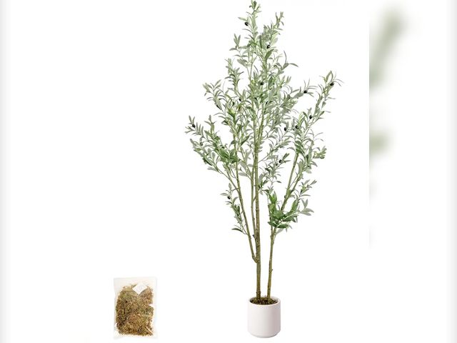 Lot 96-170166 - Artificial Fake Olive Tree 6FT Tall 1Pack with White Planter Faux Silk Olive Tree for Home Living Ro...