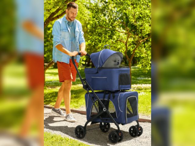 Lot 96-211436 - PawHut 3-in-1 Double Pet Stroller for Small Miniature Dogs Cats with Removable Carrier, Car Seat, Bl...