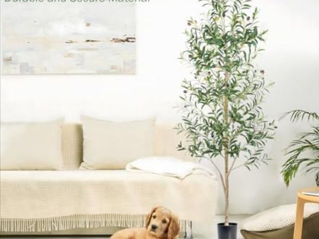 Lot 96-176172 - Artificial Olive Tree Faux Silk Plant - 6ft Fuller Leaves and Branches Plant for Home Office Decor I...