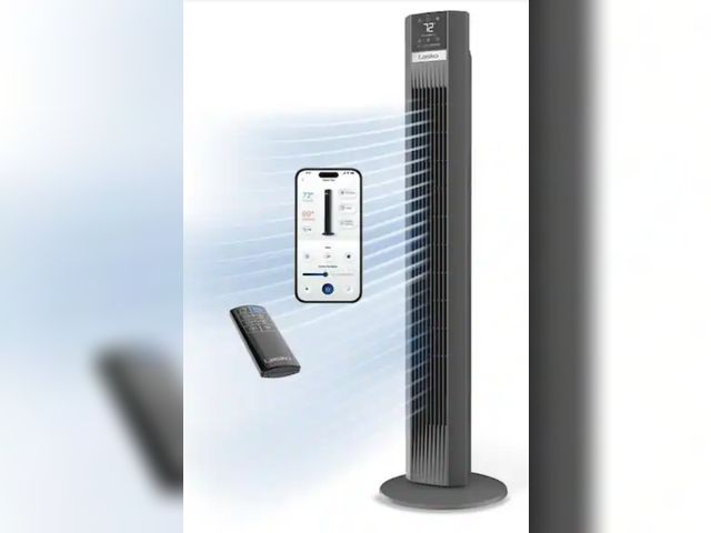 Lot 96-212110 - Lasko
Xtra Air 48 in. 12-Speed Smart Tower Fan in Gray w/ DC Motor, Works w/ Alexa, Google, Whisper ...