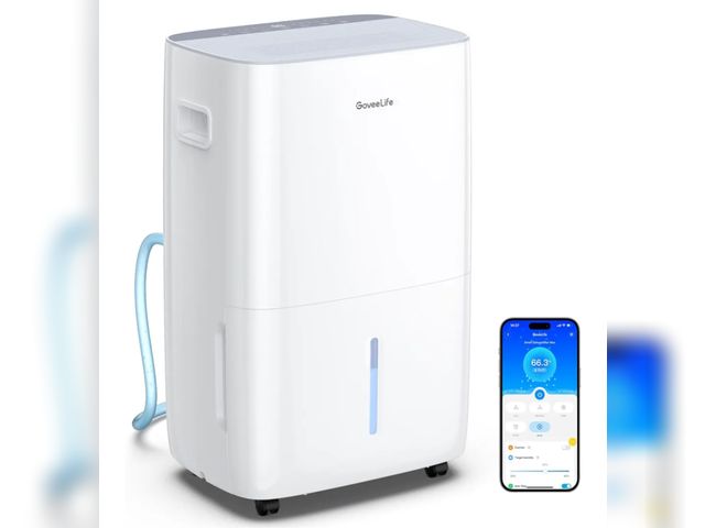 Lot 96-172569 - GoveeLife Dehumidifier for Home 4,500 Sq.Ft, 50 to 137 Pint Smart Auto Humidity Control, Drain Hose,...