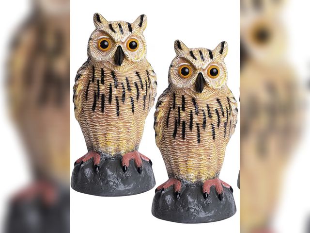 Lot 96-230546 - Owl Decoys to Scare Birds Away Plastic Owls Statue for Garden &amp; Outdoors, 2 Pack New