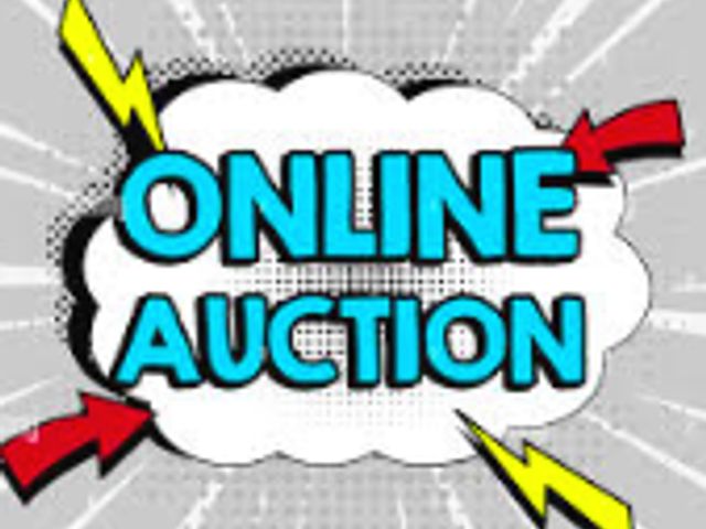 Labor Day Auction! Monday September 1st Auction! Home Depot, Amazon, Target and More!
