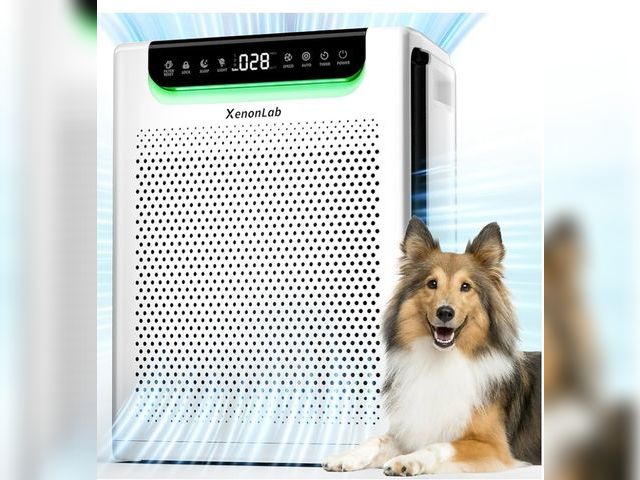 Lot 96-168739 - Air Purifiers for Home Large Room, Cover Up to 2600 Ft² with Washable Filters, Powerful Turbo Mode, ...