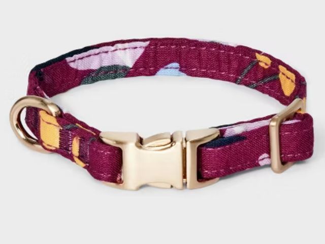 Lot 96-158493 - Floral Fashion Dog Collar - Boots &amp; Barkley™ Size med
New