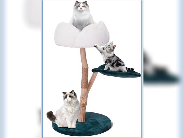 Lot 96-170978 - Romiromi Flower Cat Tree 36.6" Tall,Modern Cat Trees for Indoor Cats with Scratching Post Best Cat T...