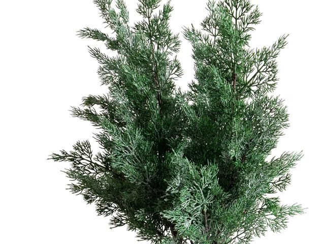 Lot 96-195583 - 4 Pcs Christmas Cypress Stems 32" Artificial Pine Branches Picks Greenery Stems for Vases, Extra Lon...