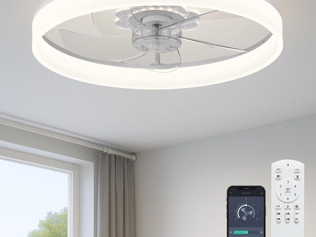 Lot 96-187472 - 20'' Ceiling Fan with Light, Upgraded Low Profile Fan, Flush Mount Ceiling Fan, 6 Speeds, Dimmable L...