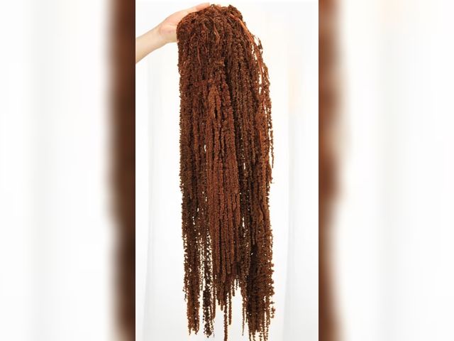 Lot 96-190845 - 5Pcs Dried Amaranthus Hanging Flowers, Natural Preserved Flower for Wedding Arch, Exhibition, Wall H...